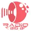Logo Radio The Big Boss