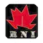 Logo RNI Radio Northsea International
