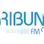 Logo Tribuna Soft FM