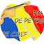 Logo Radio Muzica Petrecere