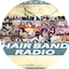 Logo Doctor Pundit Hair Band Radio