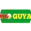 Logo Radio Guyana International