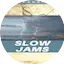 Logo Doctor Pundit Slow Jams