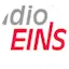 Logo Radio Eins Coburg