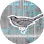 Logo 113.FM Free Bird (Hard Rock, Metal)