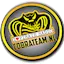 Logo Cobra Team Radio