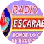 Logo Radio Escarabajo 106.9 Fm