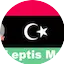 Logo AW Leptis Magna