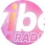 Logo Vibe radio