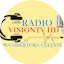 Radio VisionTv HD
