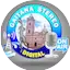 Gaitana Stereo Digital