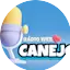 Logo Canejo Rádio Web
