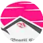 Logo REDE - F B C - SUL