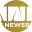 Logo The Newsbites