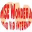 Logo Vlaamse Wonderjaren