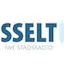 Logo Hasselt 1