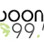 Logo Boom 99.5