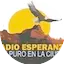 Logo Radio Esperanza 96.3 FM