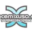 Logo DanceMixUSA