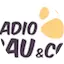 Logo Radio 105 Radio Bau & Co