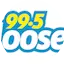 Logo Moose FM