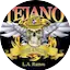 Logo Tejano To The Bone