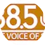 Logo The Voice of SCS