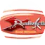 Logo Radio Activity