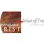 Logo Voice Of Truth Radio