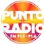 Logo Punto Radio