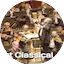 Logo Radio Art - Workout Classical