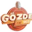 Logo Gözde FM
