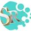 Logo Simple Radio