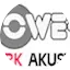 Logo PowerTürk Akustik