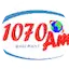 Logo Nueva Vida 1070
