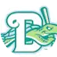 Logo Daytona Tortugas Baseball Network