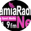 Logo Radio Net 101.9