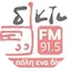Logo Diktyo FM 91.5
