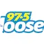 Logo Moose FM