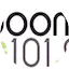 Logo Boom 101.9