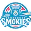 Logo Tennessee Smokies Baseball Network