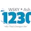 Logo Wilkins Radio