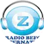 Logo International Radio BEFO
