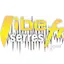 Logo Vibe FM