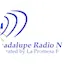 Logo Guadalupe Radio Network