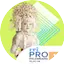 Logo RRI Pro 1 - Palembang