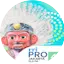 Logo RRI Pro 4