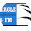 Logo The Eagle