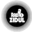 Logo Radio Zidul