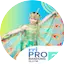 Logo RRI Pro 2 - Bandung
